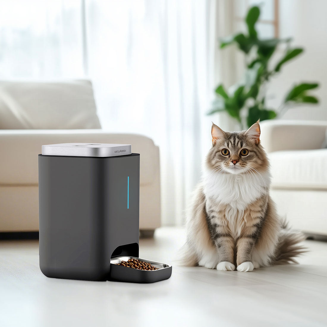Stylies Cibus Automatic Pet Feeding Station