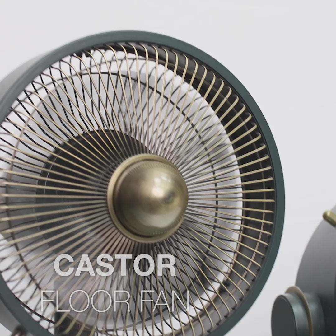 Load video: Stylies Castor Floor Standing Fan