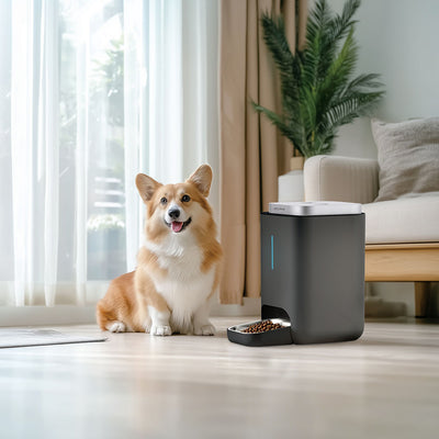 Stylies Cibus Automatic Pet Feeding Station
