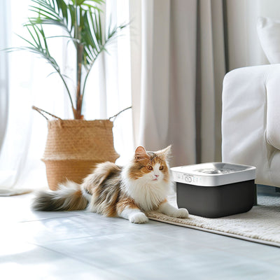 Stylies Fontanus Cordless Pet Water Fountain